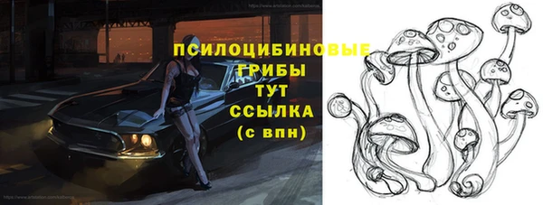 соль ск Абинск