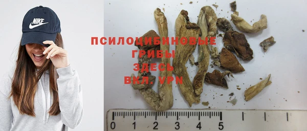 прущий лед Абаза